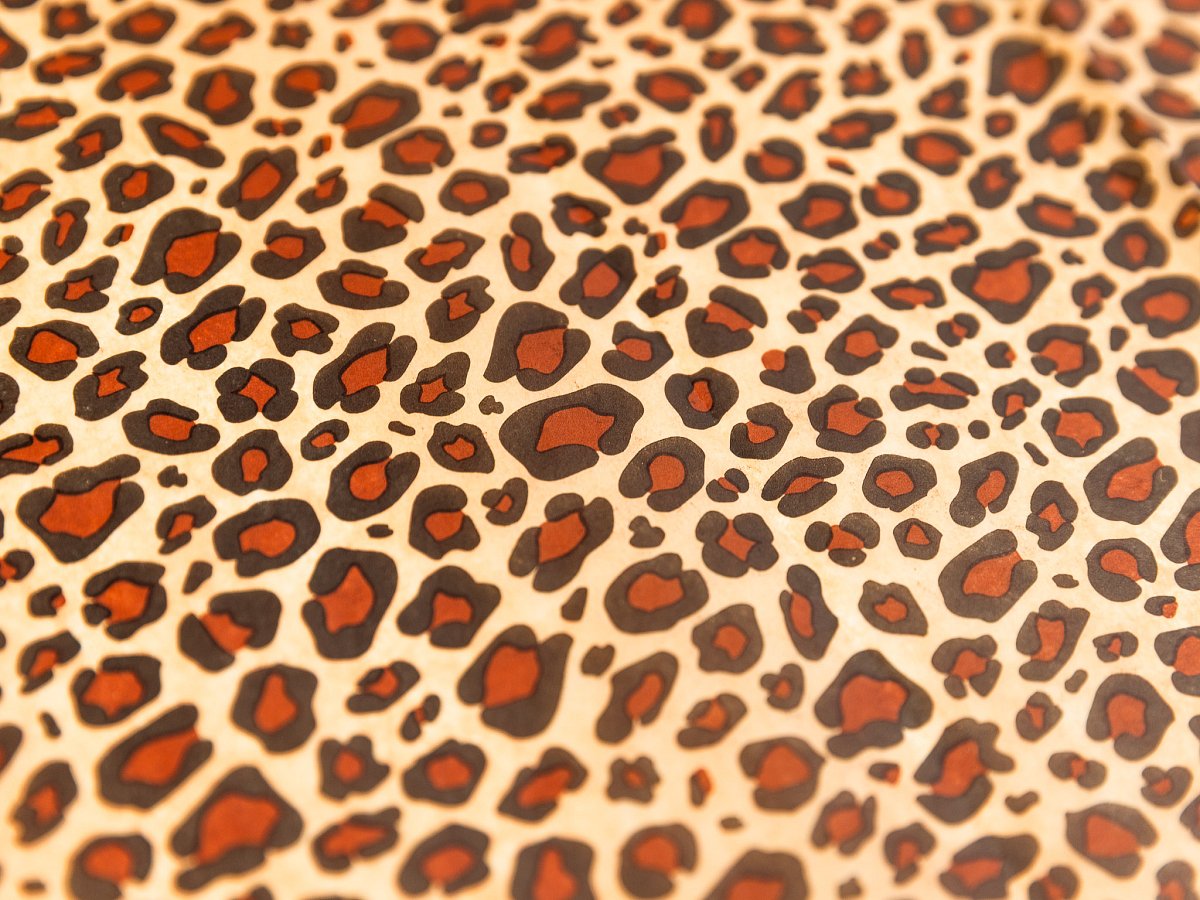 200 ks - Papír hedvábný 500x760 Leopard (200ks)