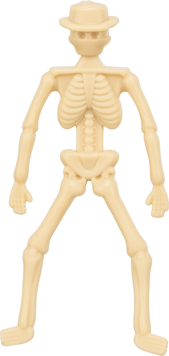 Pochoutka pro psy Trixie Halloween kostlivec s kuřecím prsem 20 g